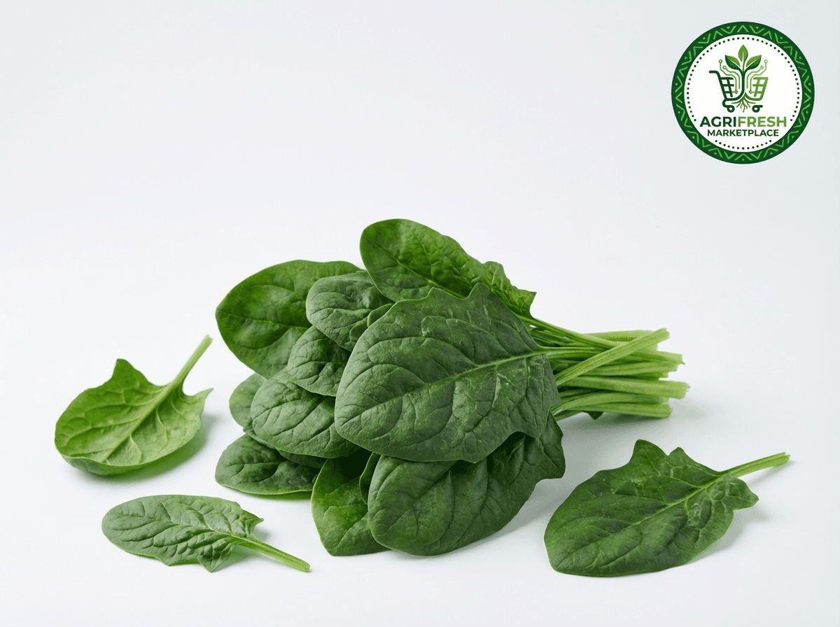 Fresh Spinach